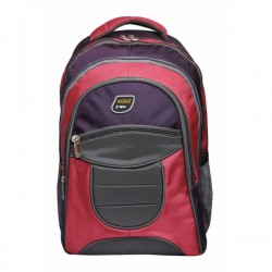 Aqsa ALB57 Fashionable Laptop Bag (Wine and Pink)